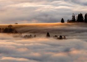 Pierre RICH - Pierre Rich